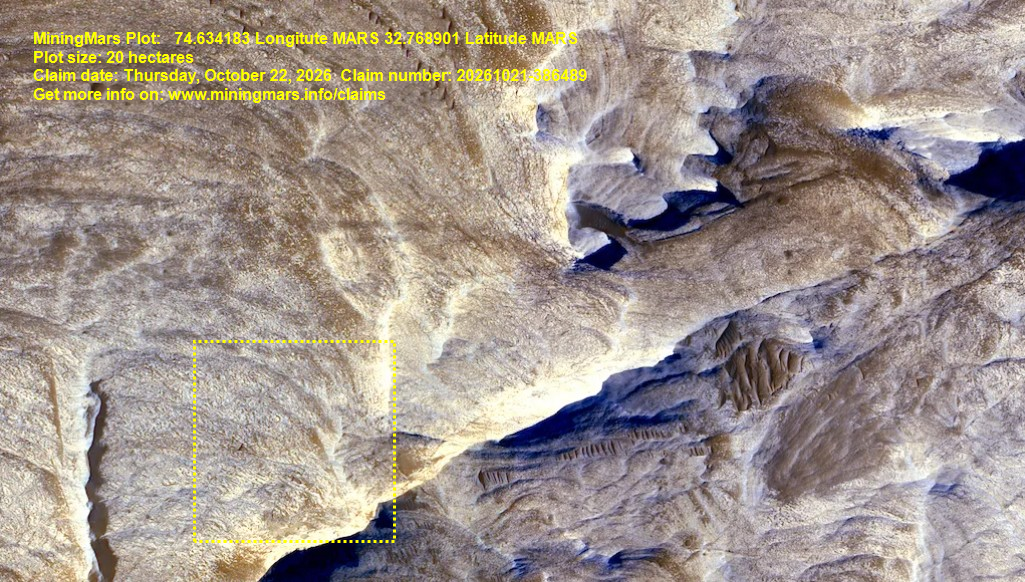 Satellite Image of your plot